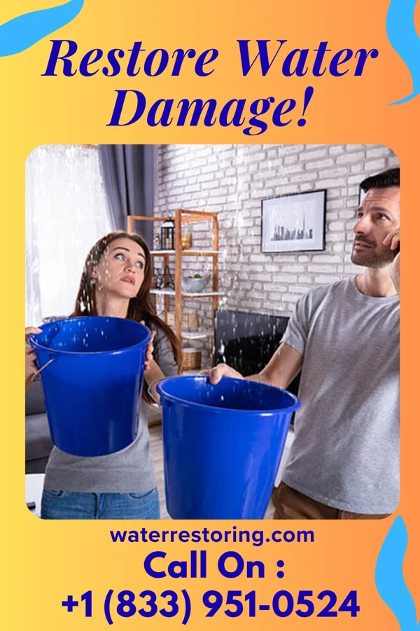 water restoration Galaxy Sewage Cleanup Sligo
