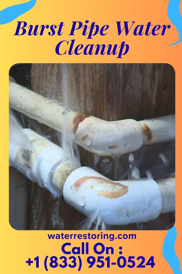 Burst Pipe Water Cleanup in Sligo, PA