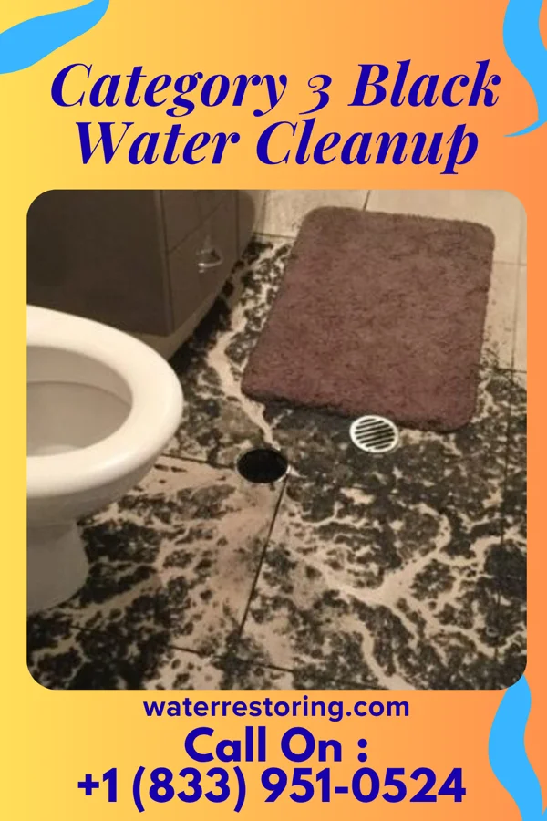 Category 3 Black Water Cleanup in Sligo, PA