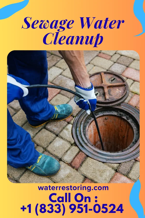 Sewage Water Cleanup in Sligo, PA