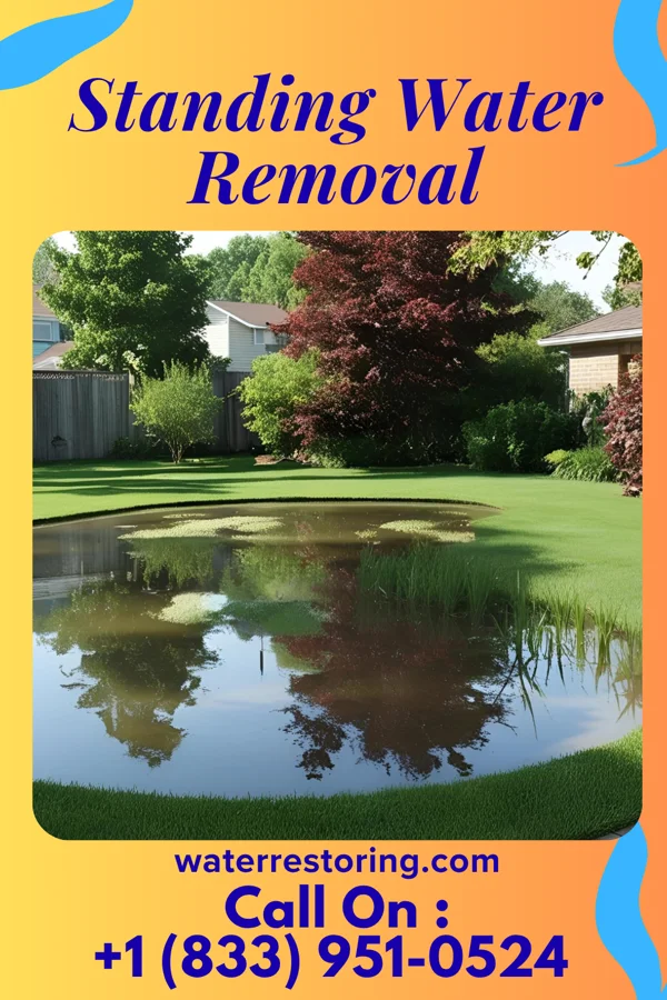 Standing Water Removal in Sligo, PA